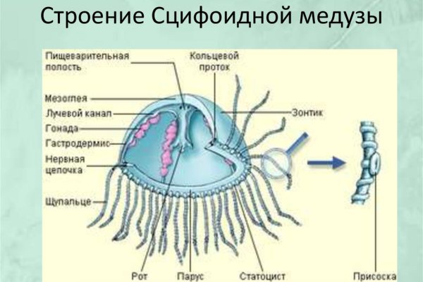 Знают ли власти про маркетплейс кракен